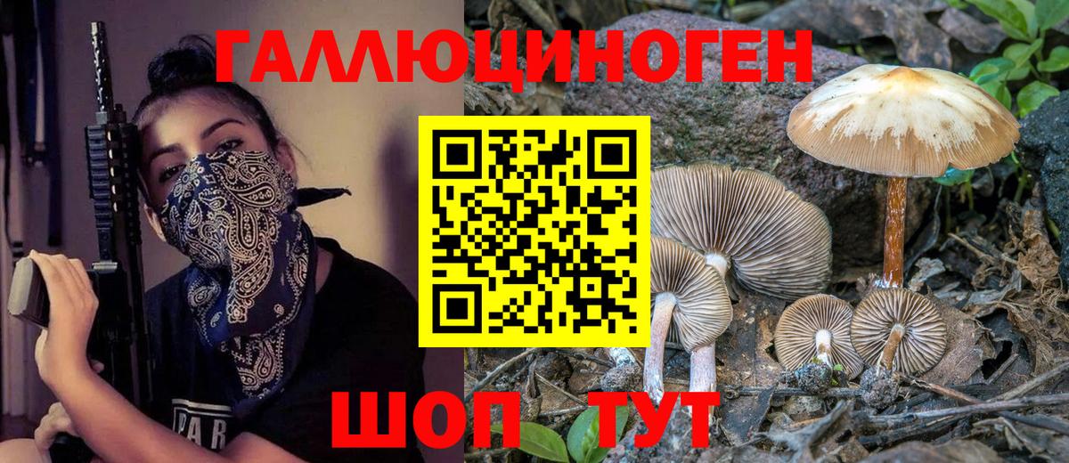 Коркино  Псилоцибиновые грибы Psilocybine cubensis  Вход с VPN 